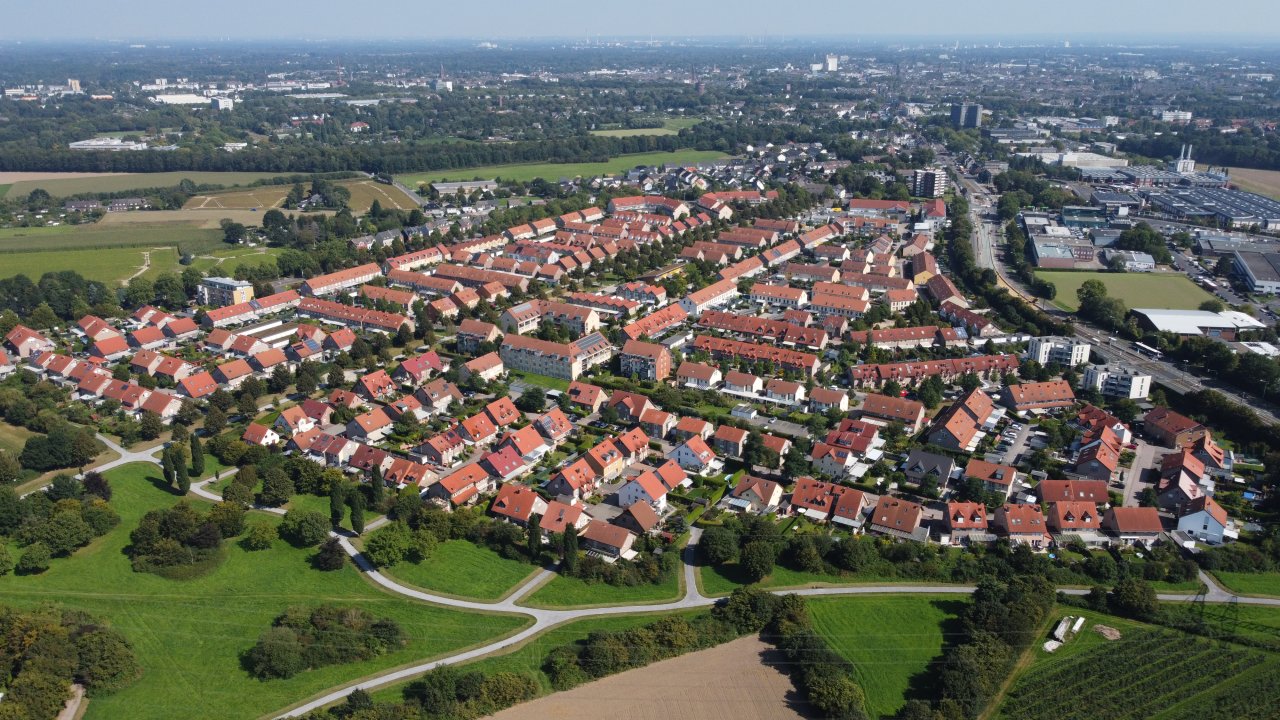 schönes Schicksbaum aus der Vogelperspektive