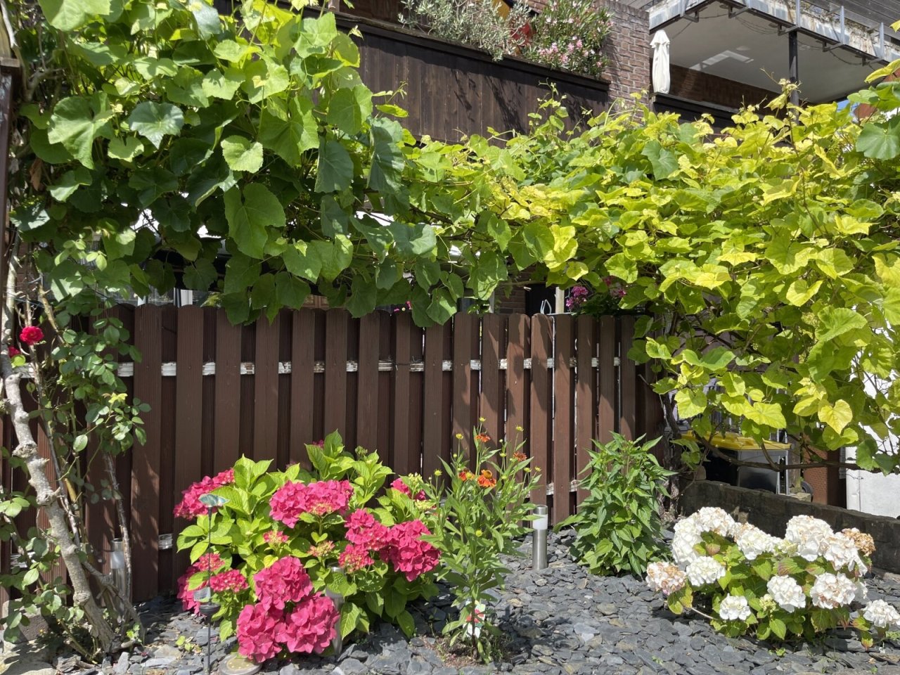 Blumenbeet grenzt Terrasse vom Garten ab Blumenbeet grenzt Terrasse vom Garten ab