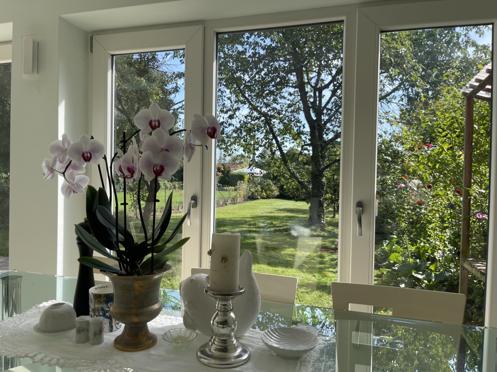 Am Esstisch in den Garten blickend Am Esstisch in den Garten blickend