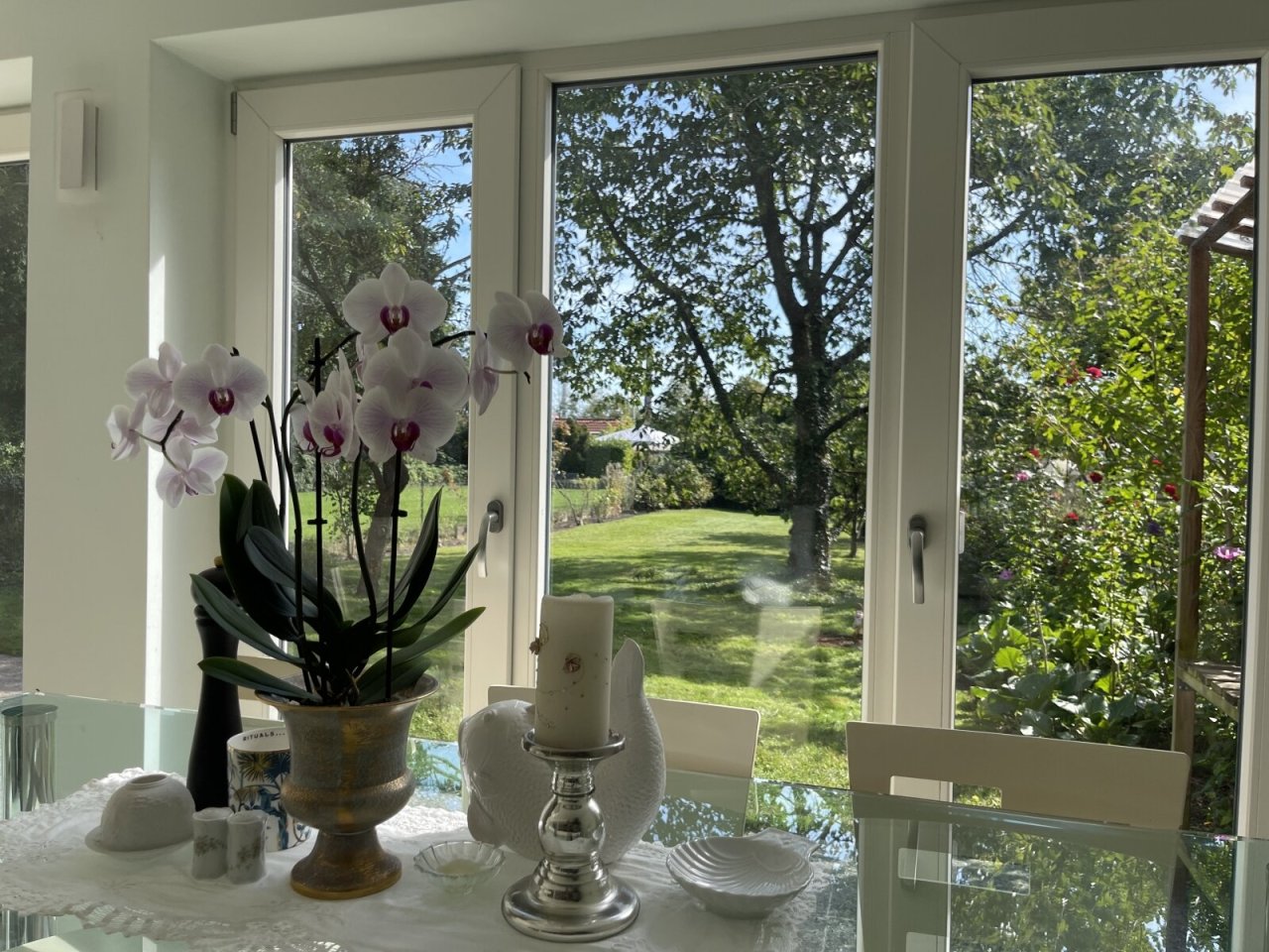 Am Esstisch in den Garten blickend Am Esstisch in den Garten blickend