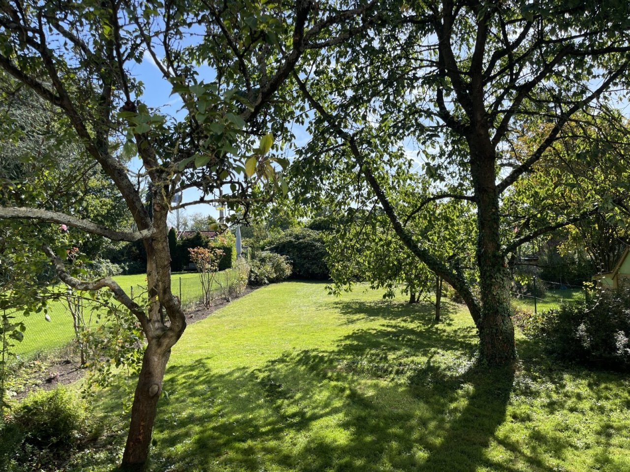 Blick in den Obstgarten Blick in den Obstgarten